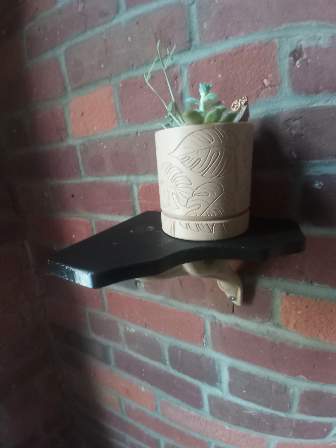 Wall Mounted Shelf with Decorative Bracket - photo 3