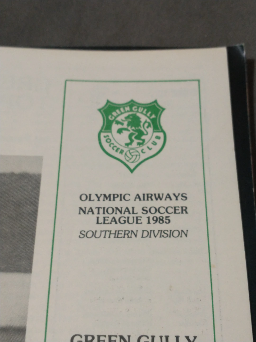 Five Australian pro football/soccer programs - photo 3