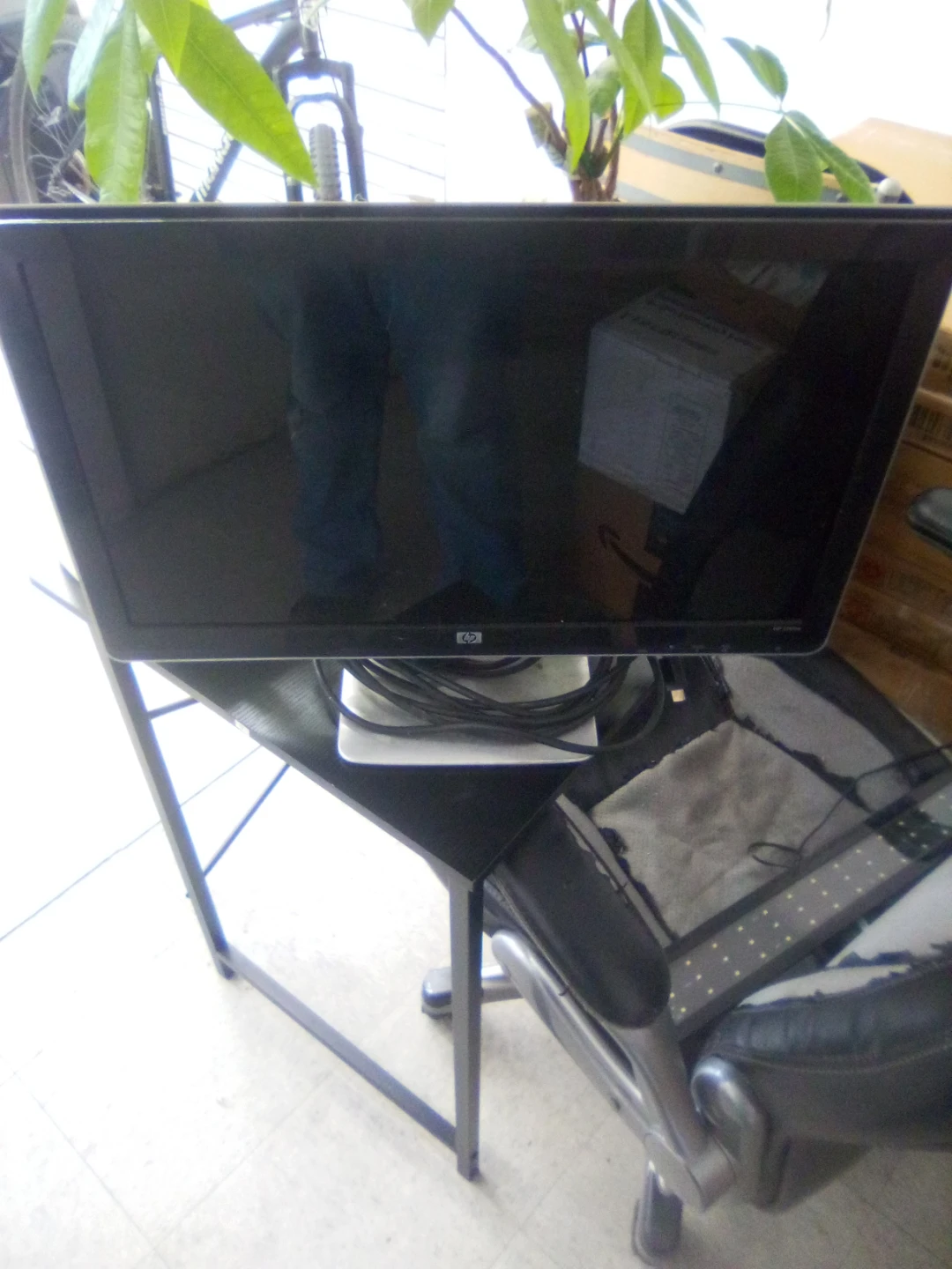 HP 21.5" Monitor