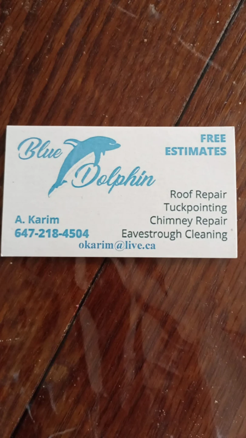Roof Repair and Eavestrough Cleaning Business Card