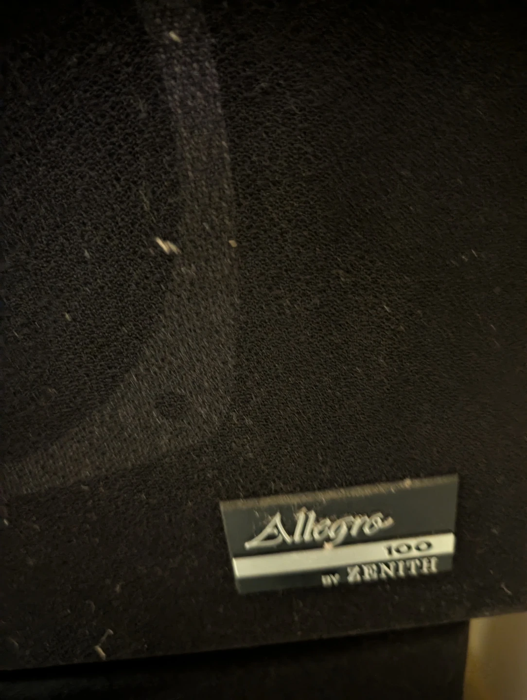 Zenith Allegro 100 Speakers - photo 3