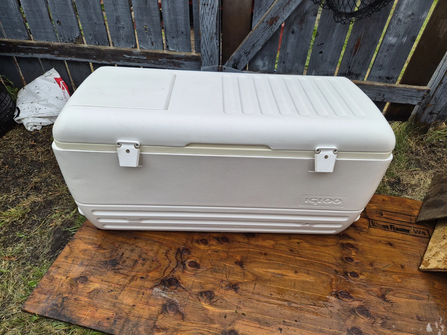 Igloo Polar 120 Cooler