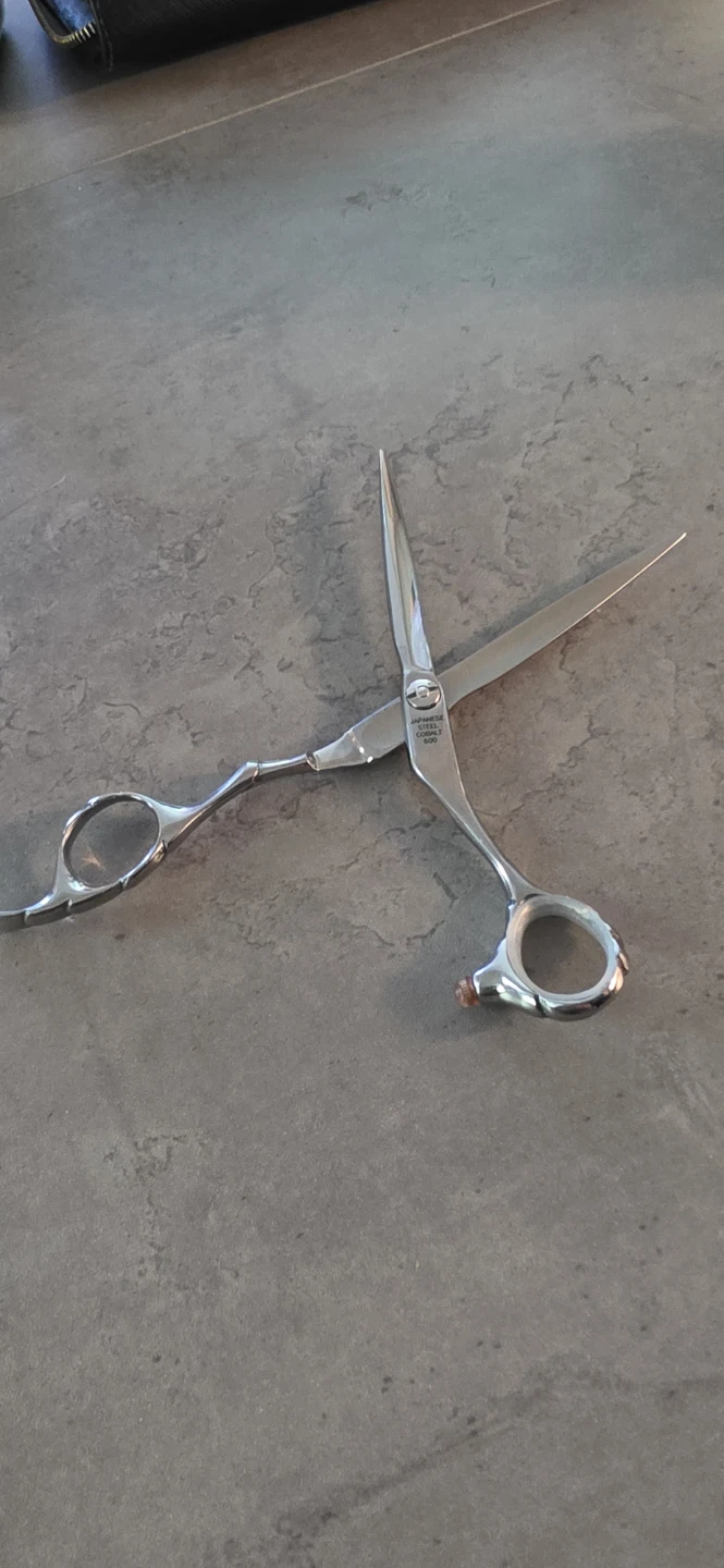 Professional cutting shears