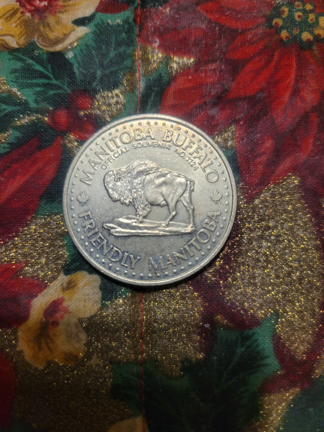 Winnipeg Red River Dollar Souvenir Coin - photo 2