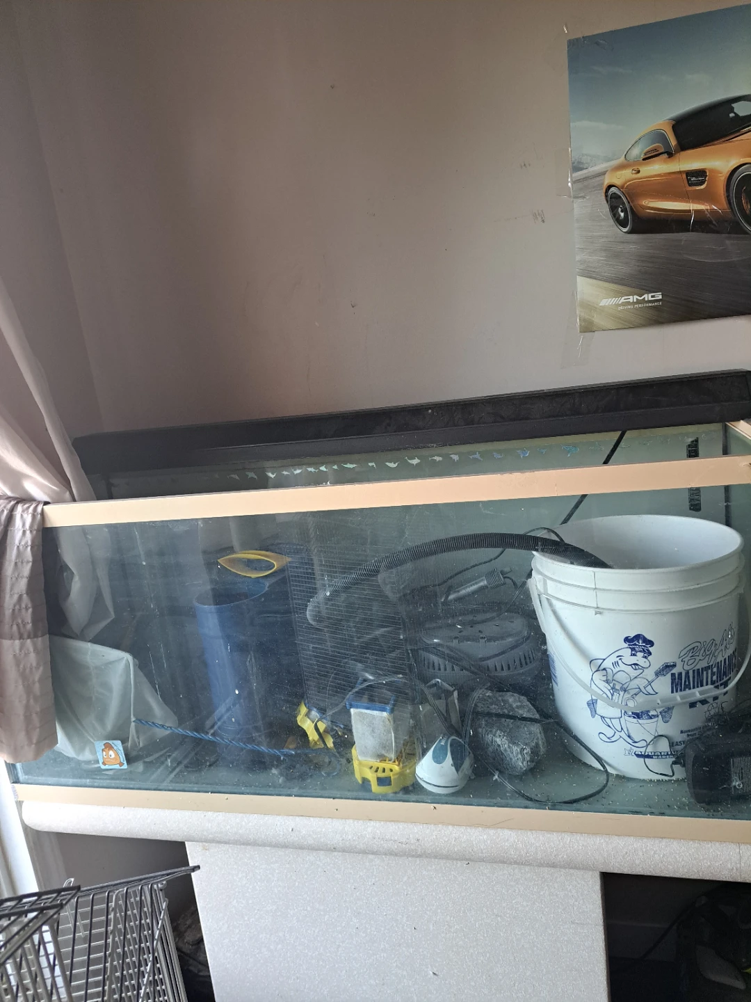 aquarium - photo 2