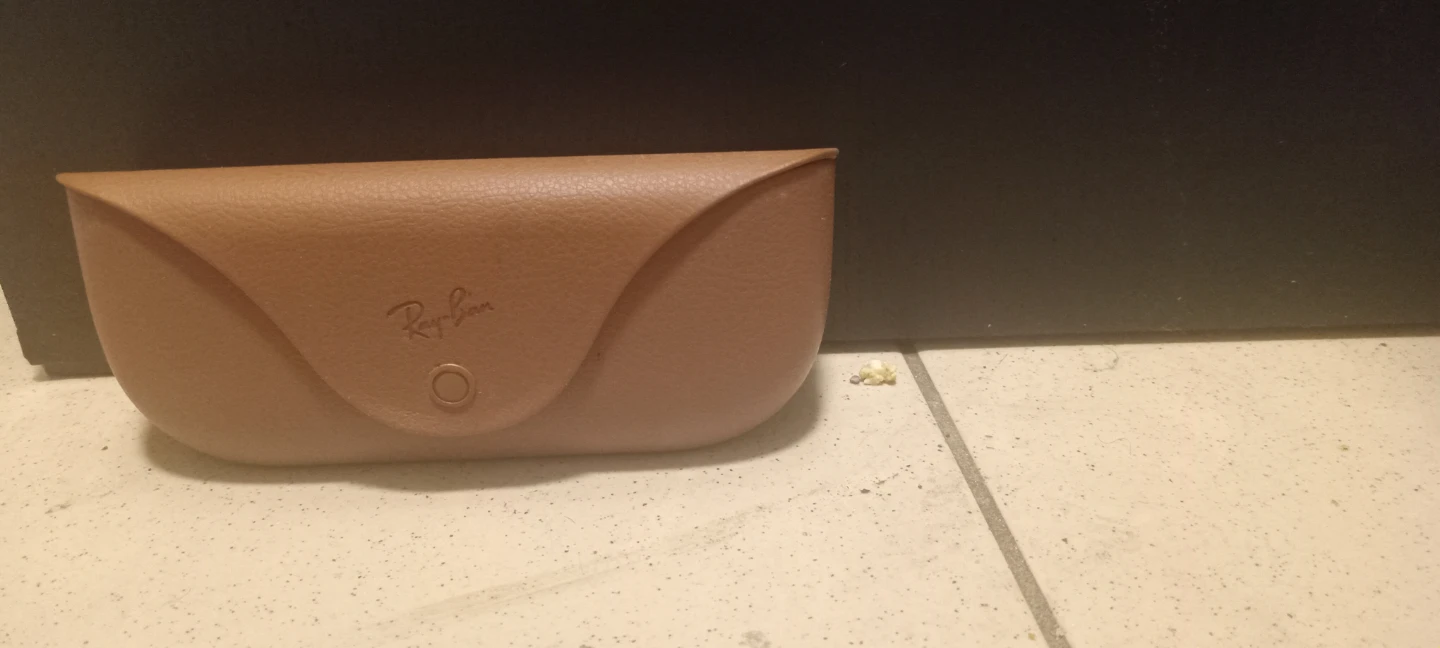 Ray-Ban  Meta Sunglasses Case - photo 3