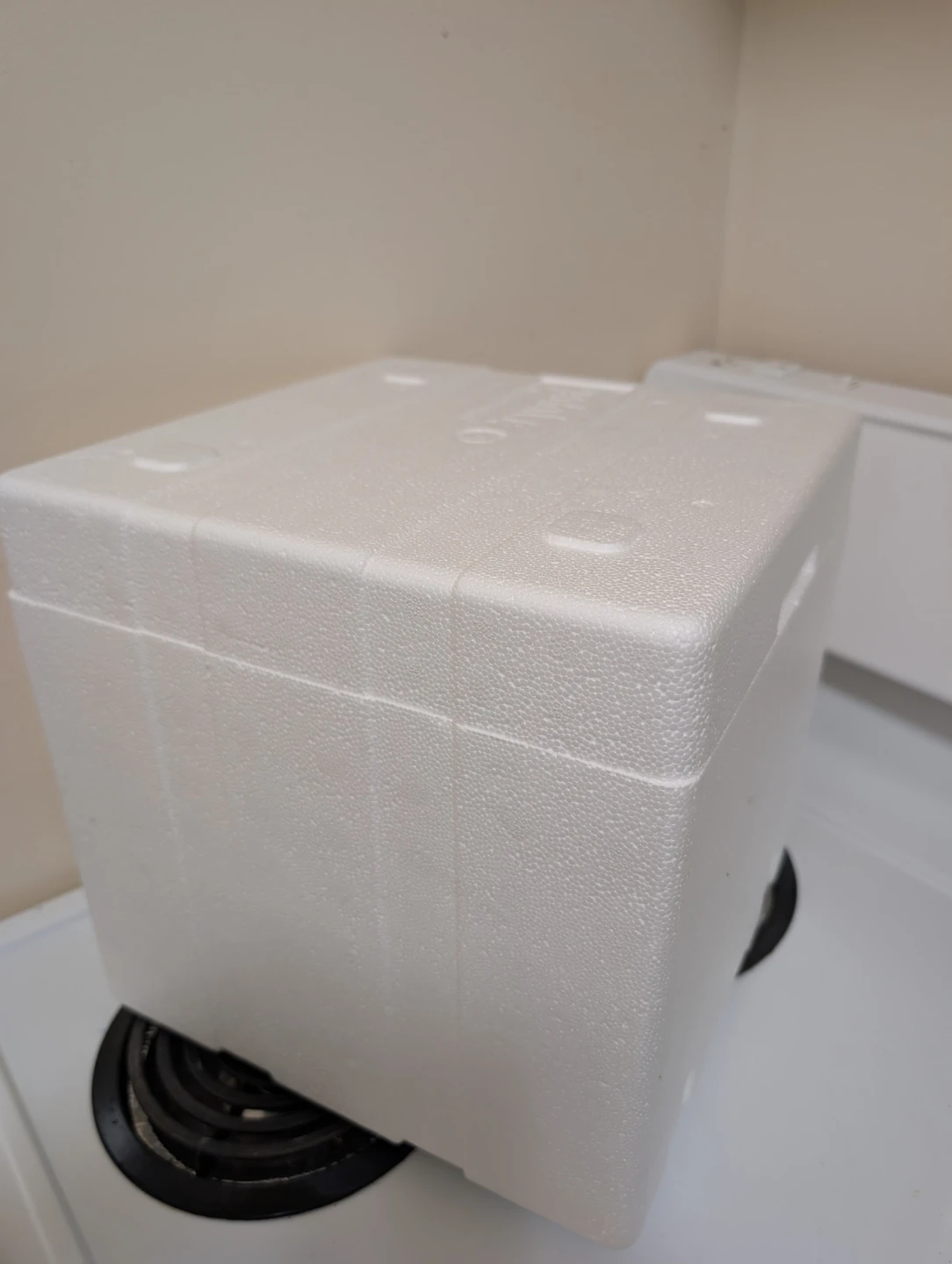 Cryopak Styrofoam Cooler Box plus 2 ice packs