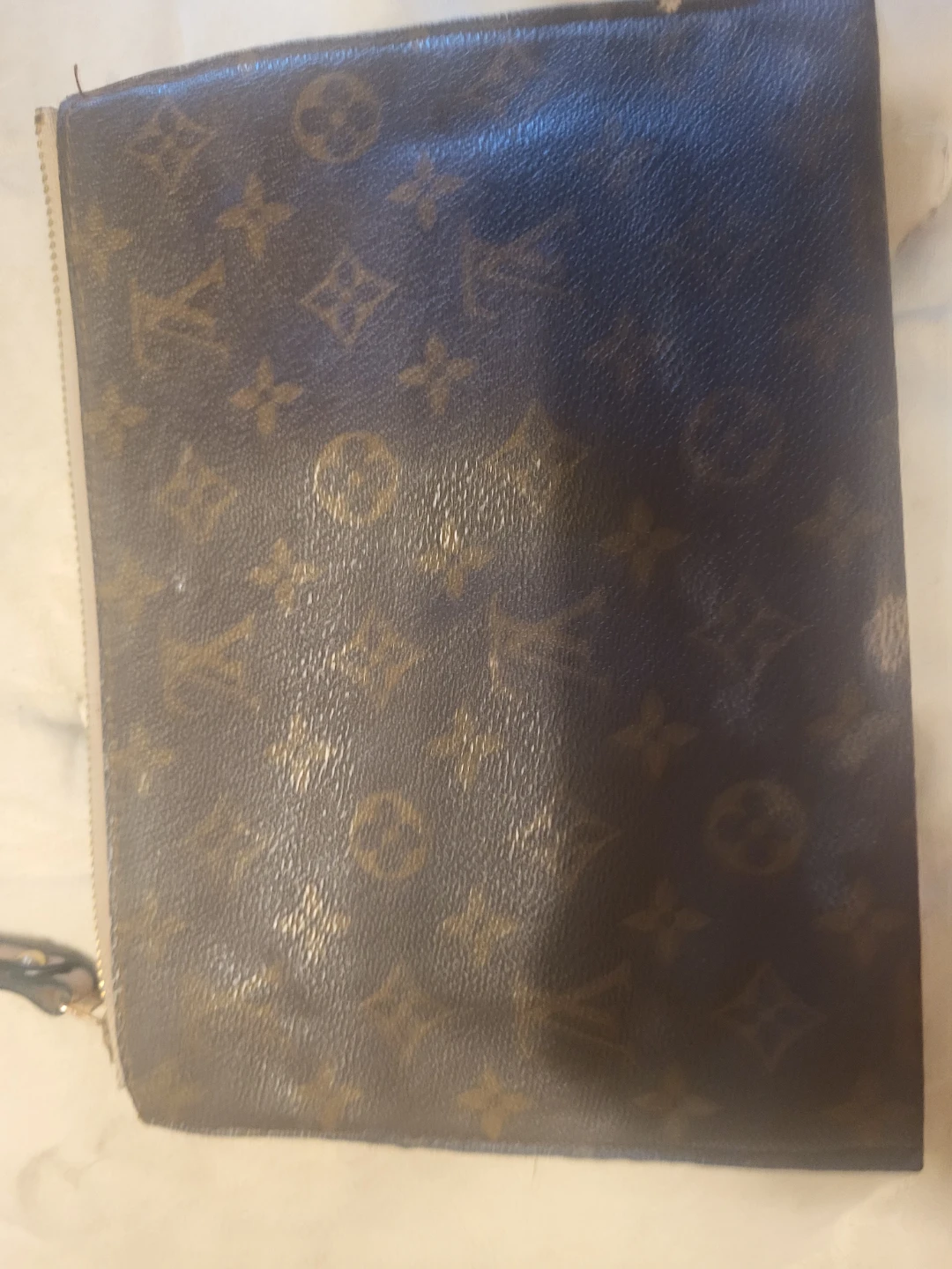 Louis Vuitton Monogram Canvas Pouch