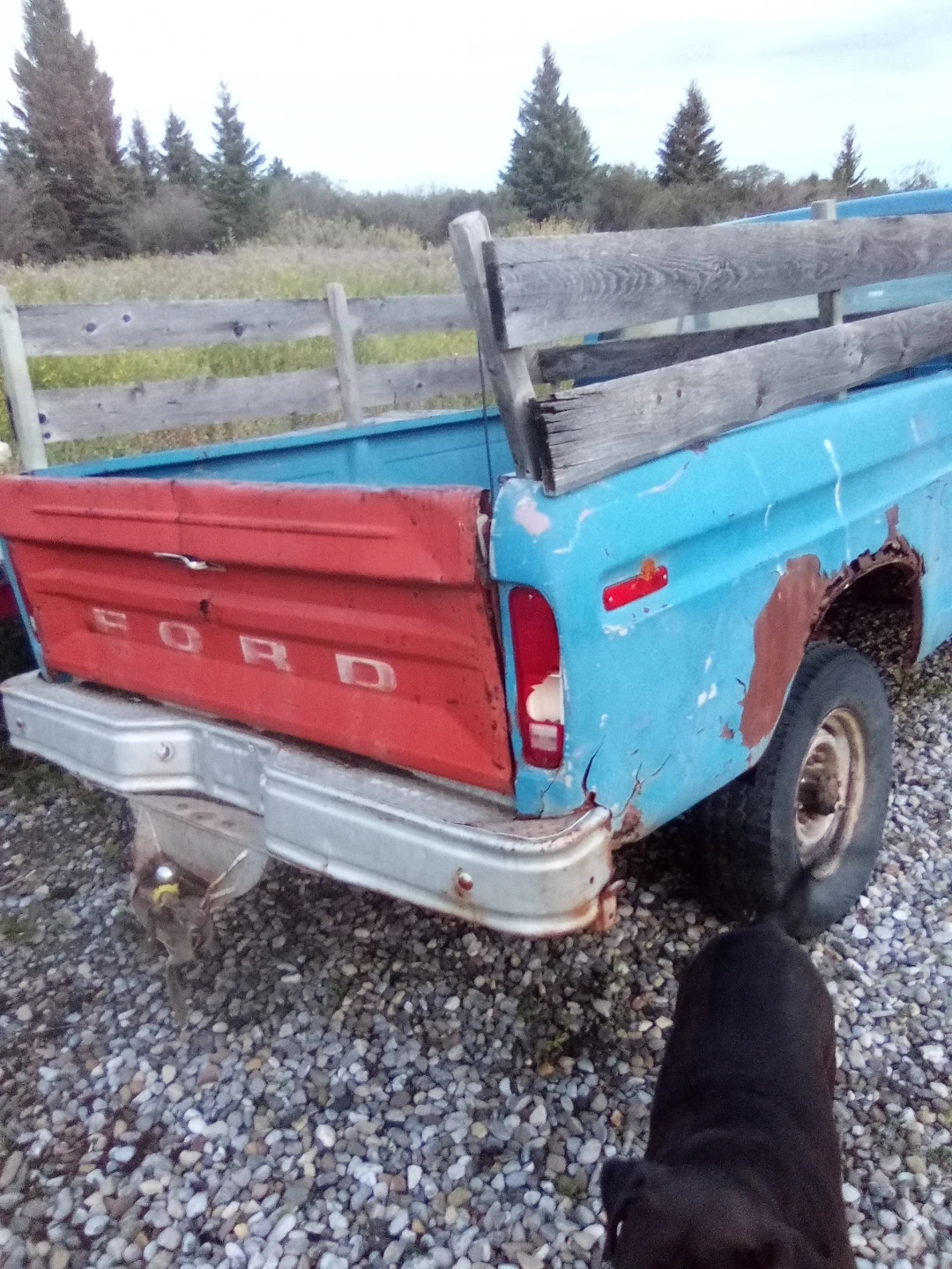Ford Pickup Truck Project - photo 3
