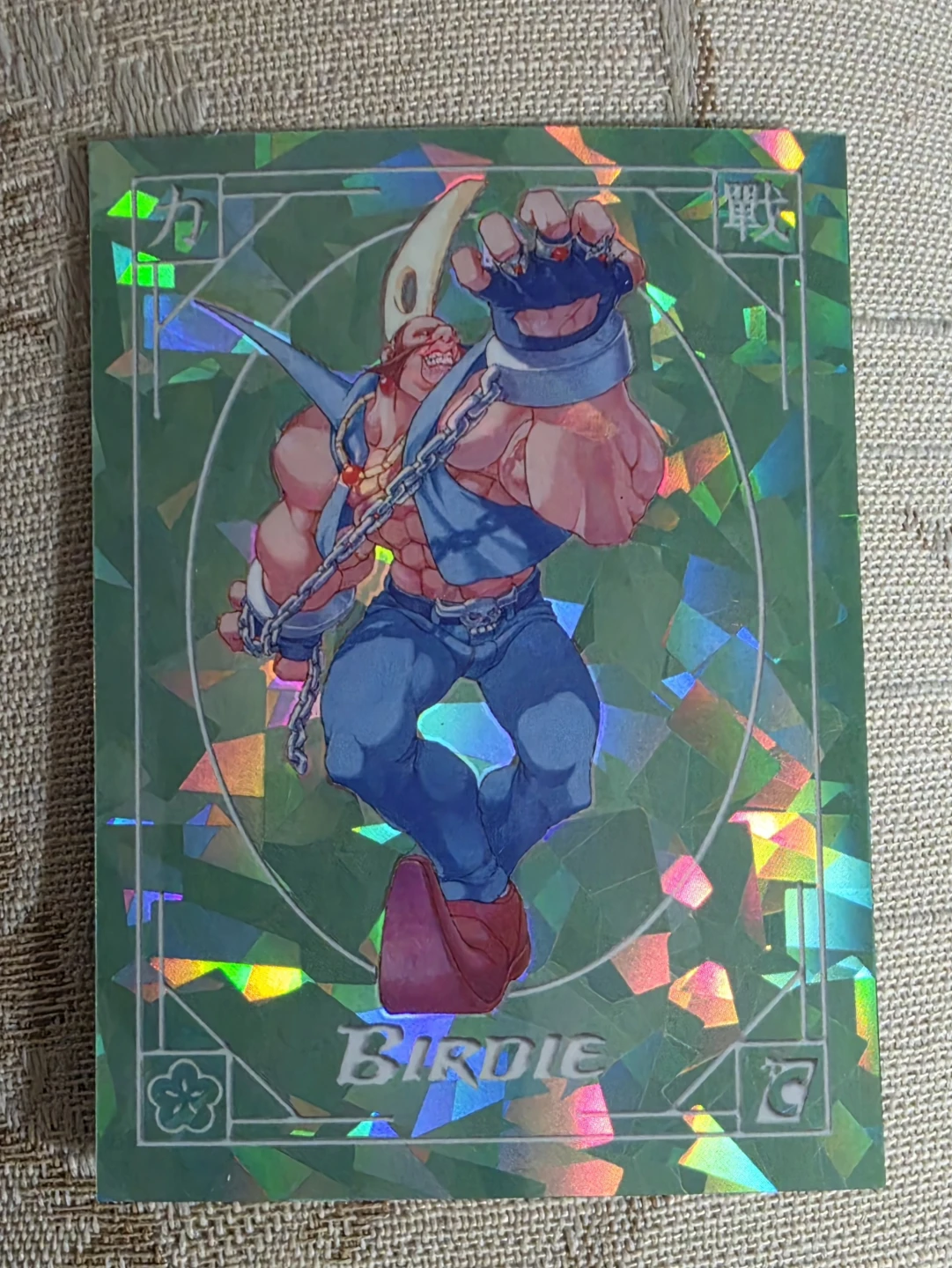 Street Fighter Alpha Warriors Dreams Birdie JADE /45