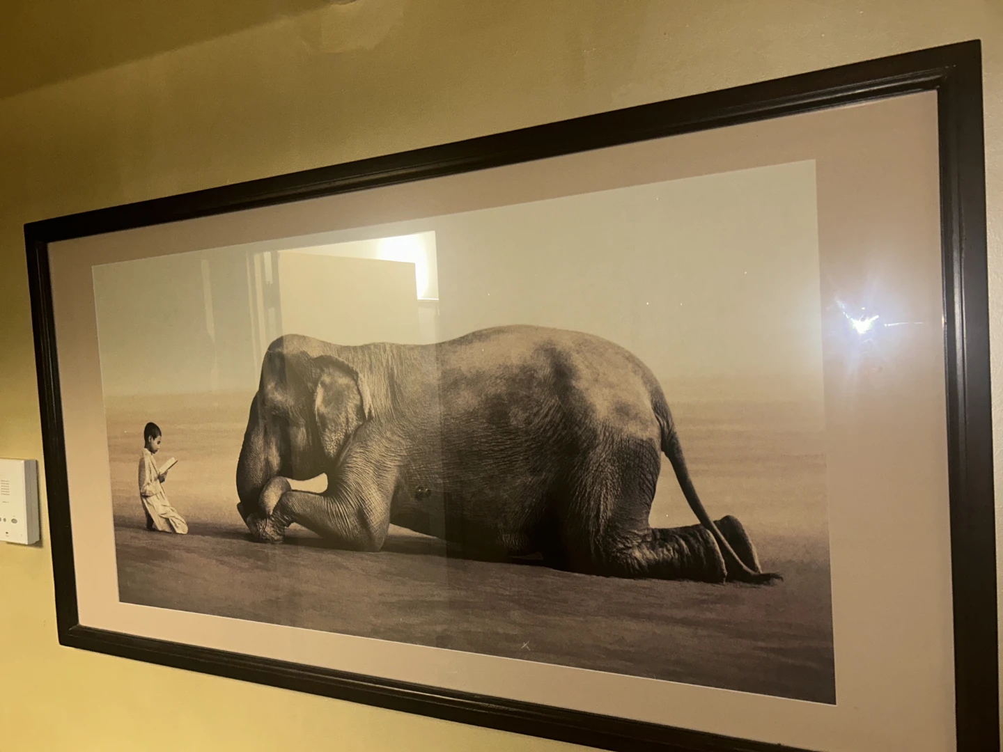 Framed Art Print - Elephant and Person Reading