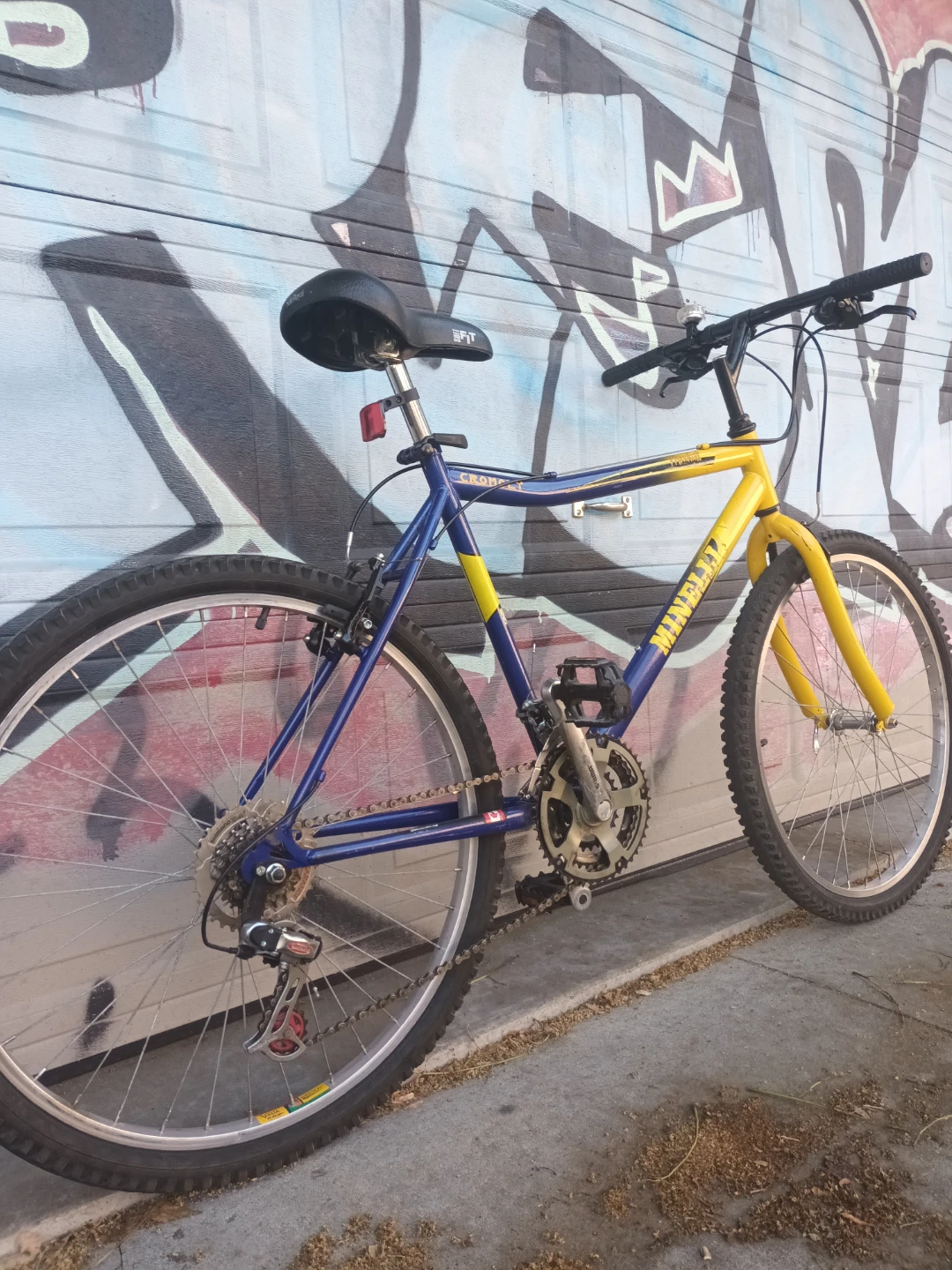 Minelli Mondial Bike - photo 4