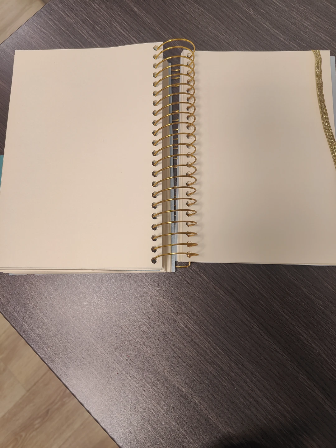 Firstline Jumbo Journal - photo 5