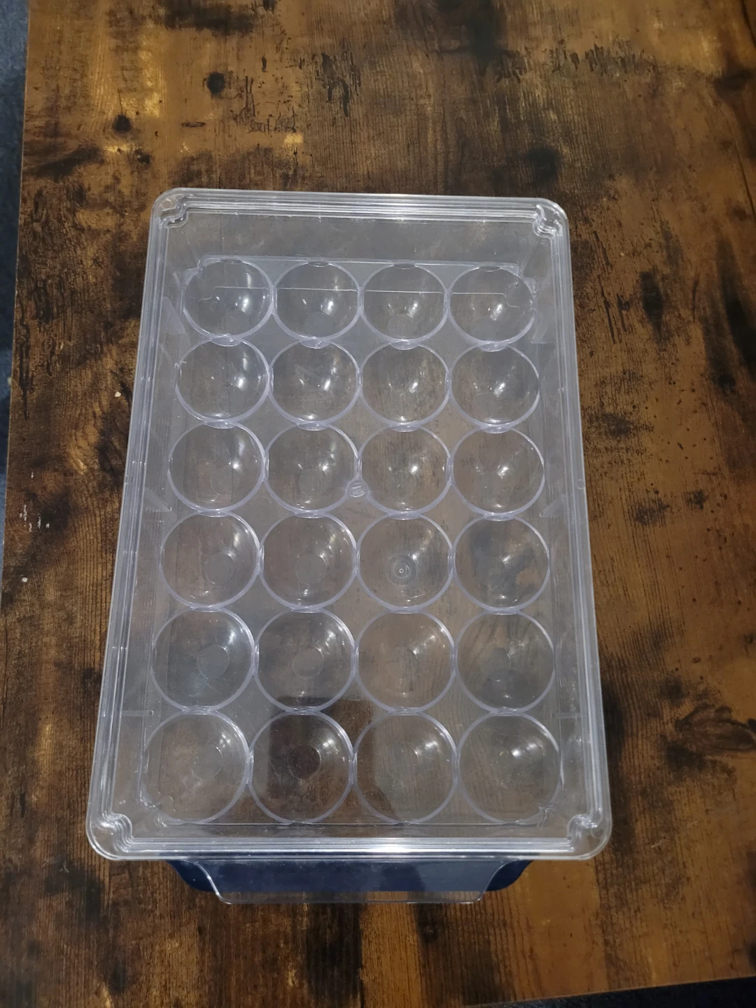 Clear Plastic 24 Egg Holder with Lid