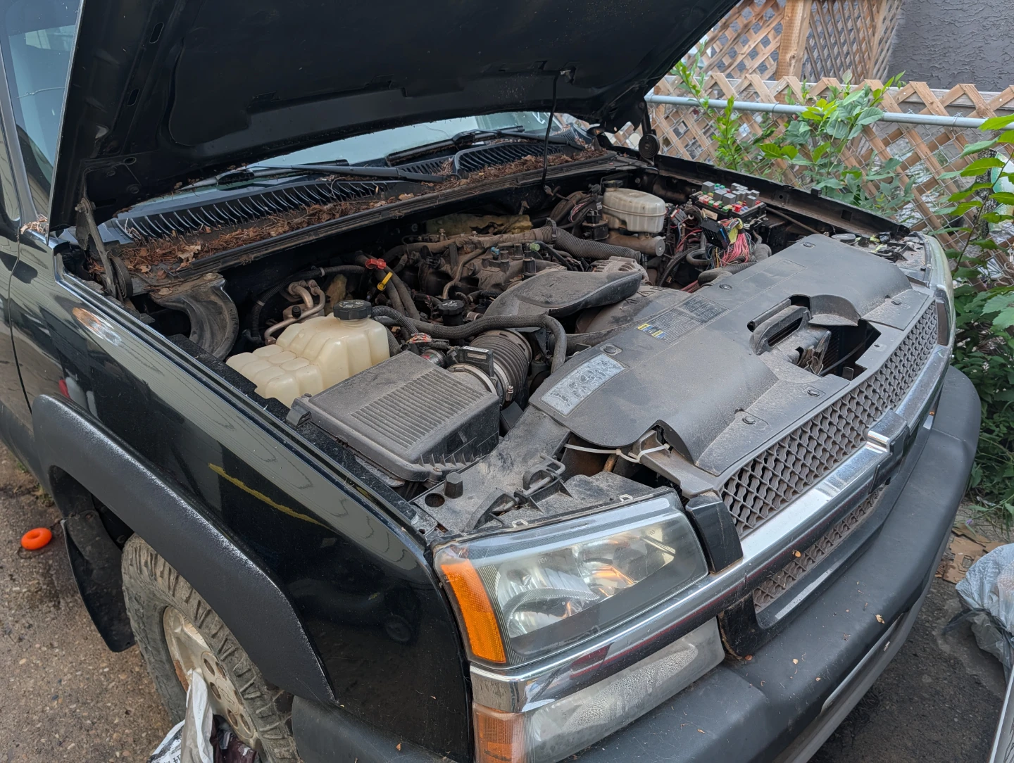 Black Chevrolet Truck - photo 2