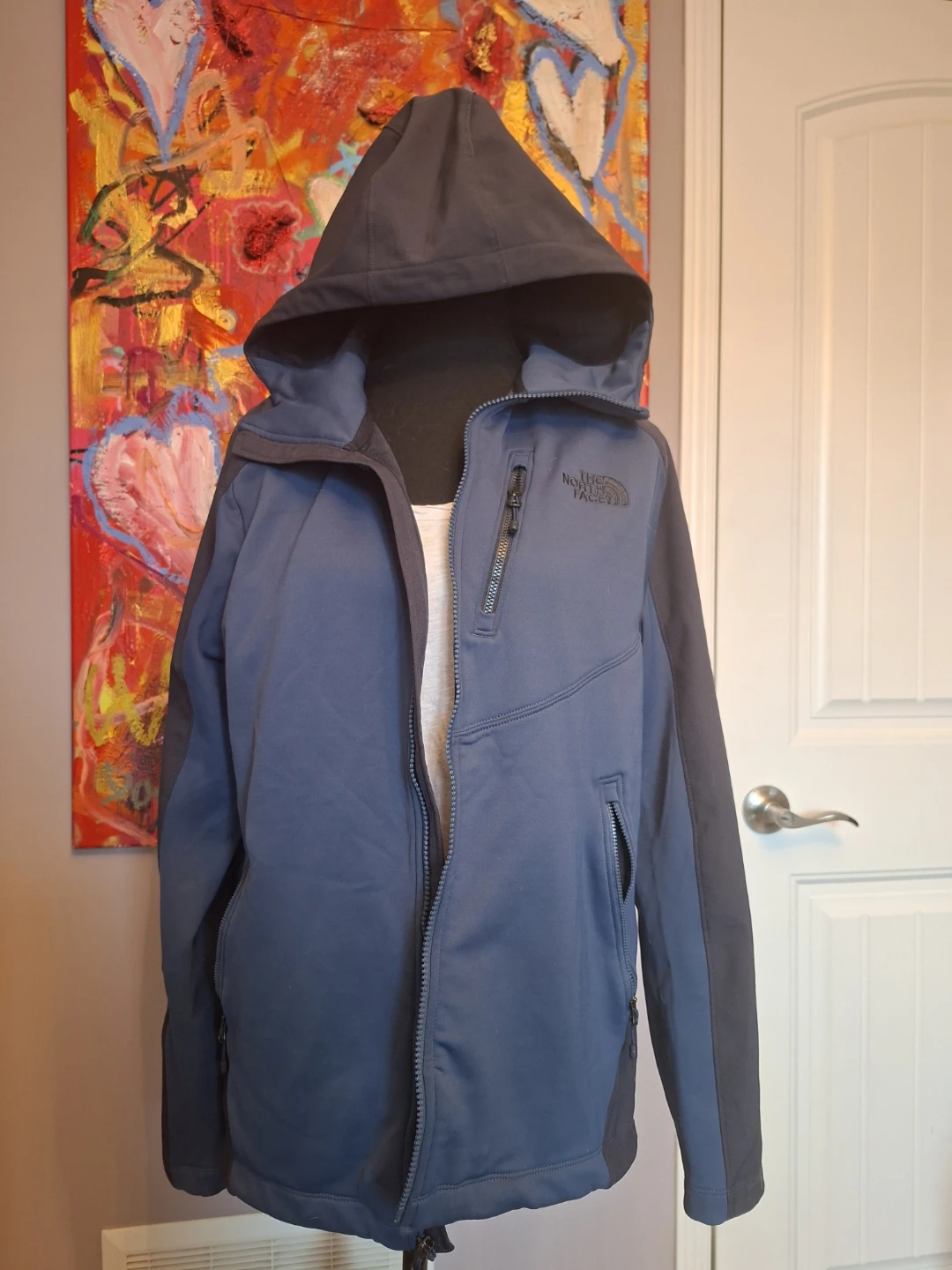 The North Face Men’s Apex Bionic Softshell Jacket - Medium