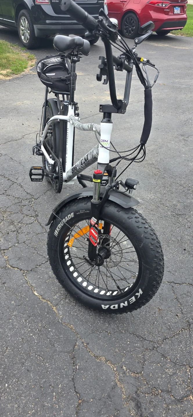 Fat Tire Electric Bike