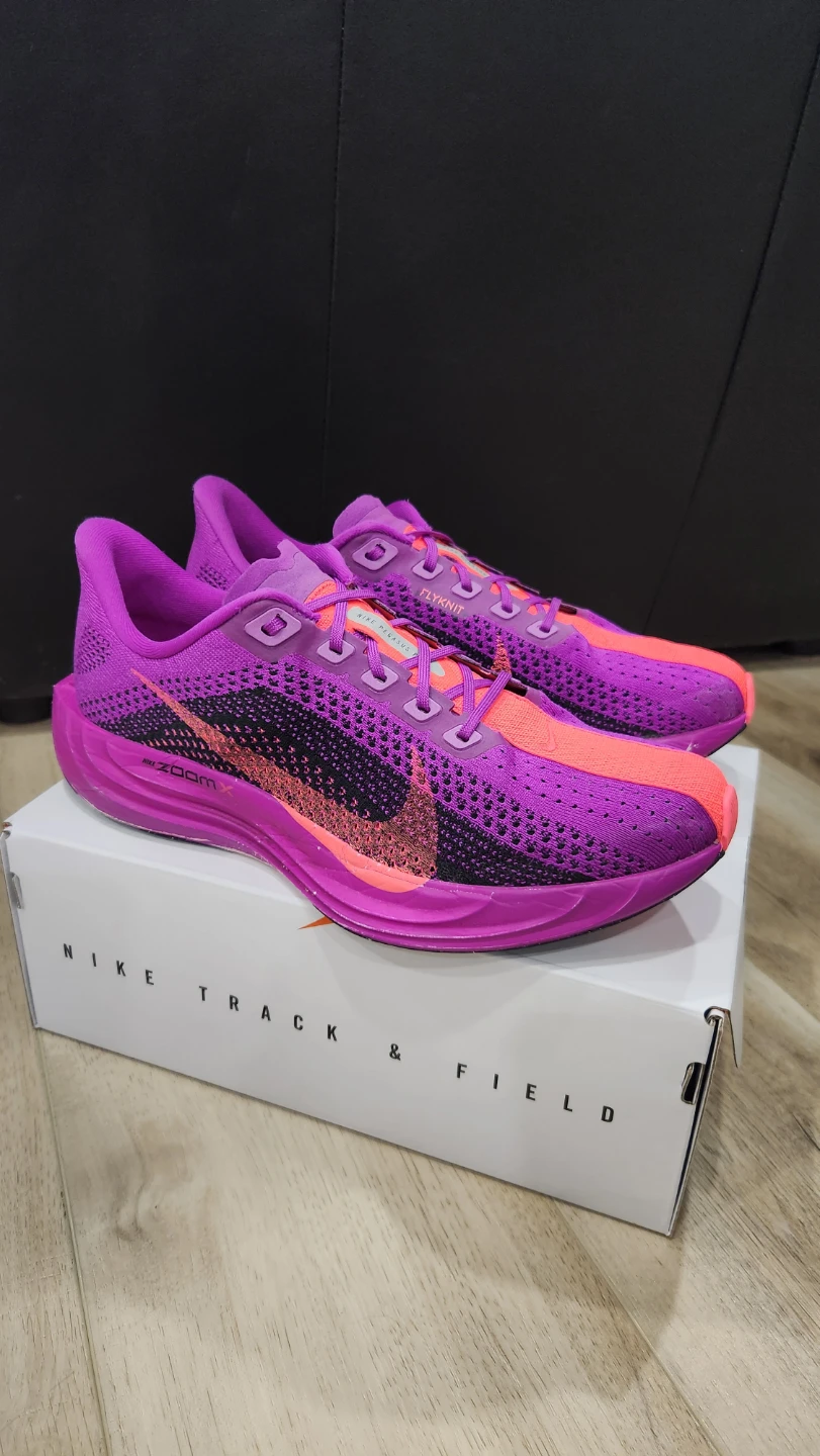 Nike Pegasus Plus