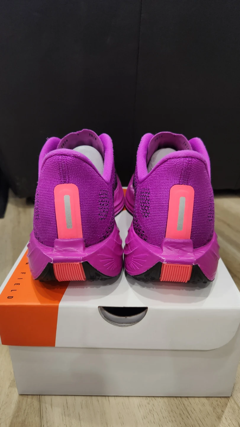 Nike Pegasus Plus - photo 3