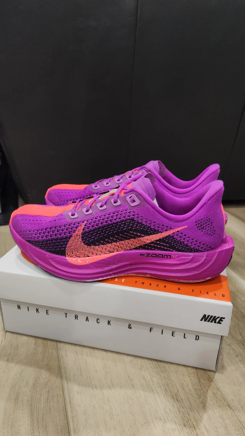 Nike Pegasus Plus - photo 4