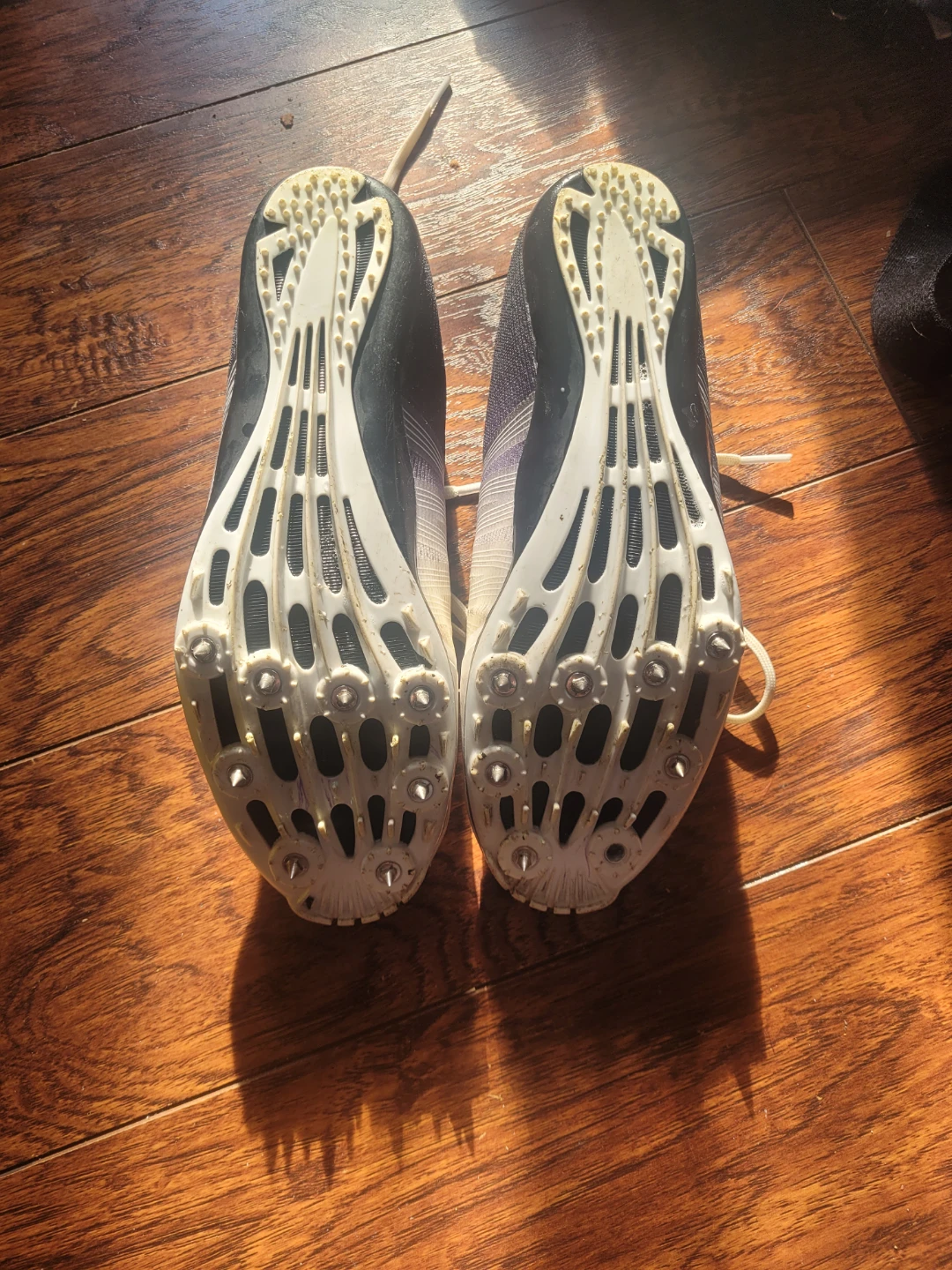 Thestron Track Spikes - photo 3