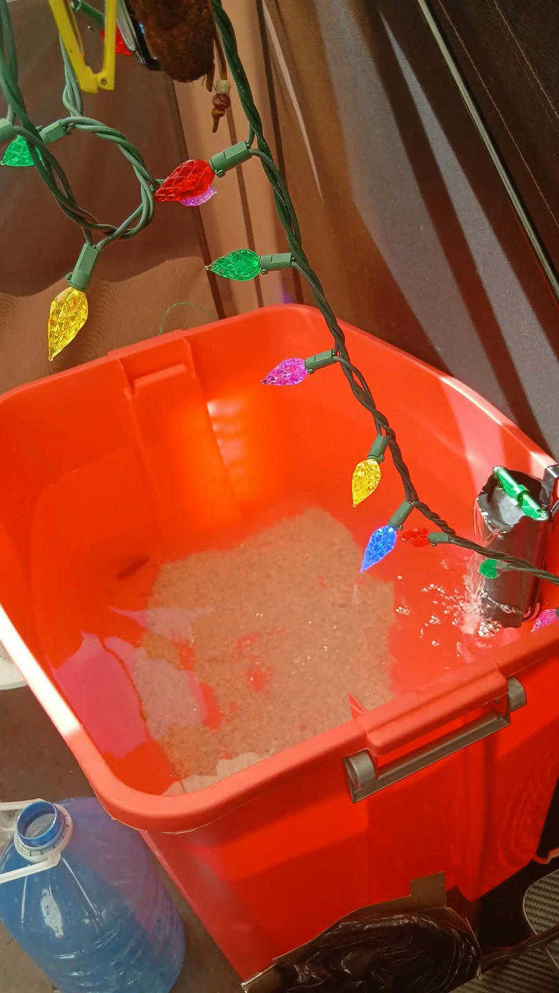 Free Looking for a fish tank and supplies