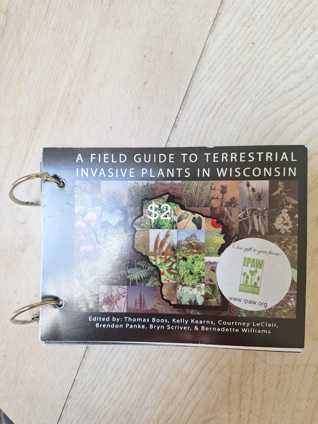 A Field Guide to Terrestrial Invasive Plants in Wisconsin
