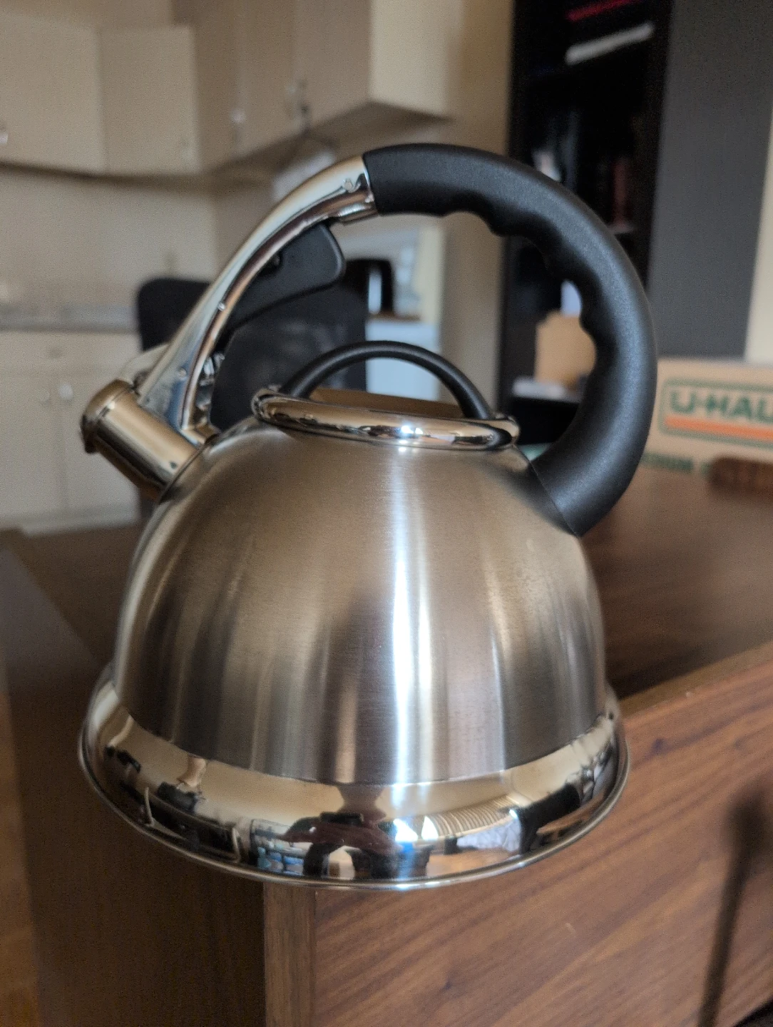 Lepicure Stainless Steel Whistling Kettle