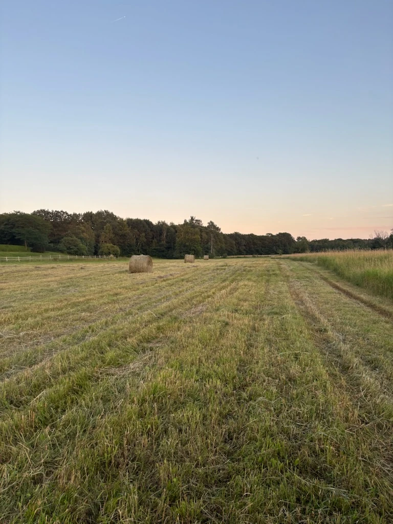 Round Hay Bale - photo 2