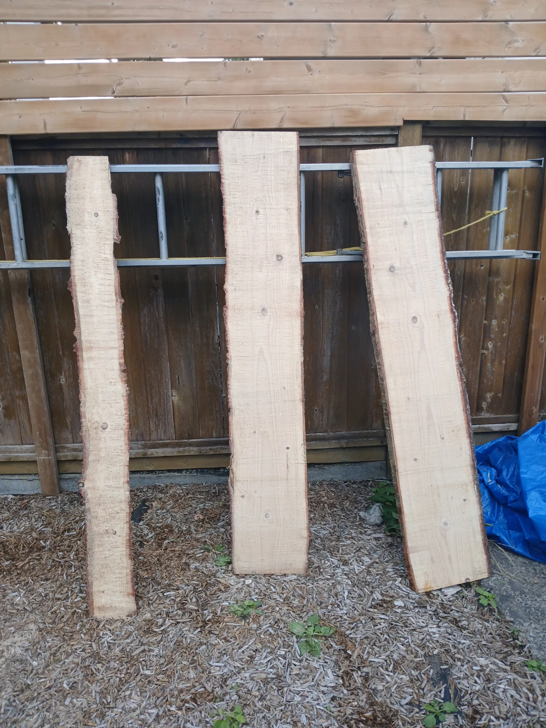 Live Edge Wood Planks (3)
