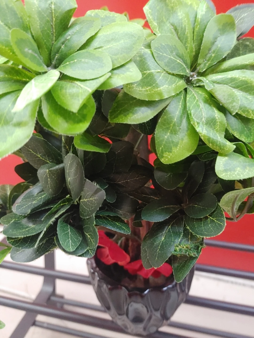 Artificial Ficus Tree in Black Pot - photo 2
