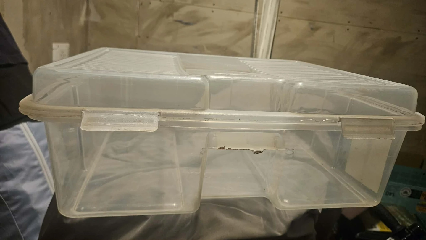 Clear Storage Bin with Lid
