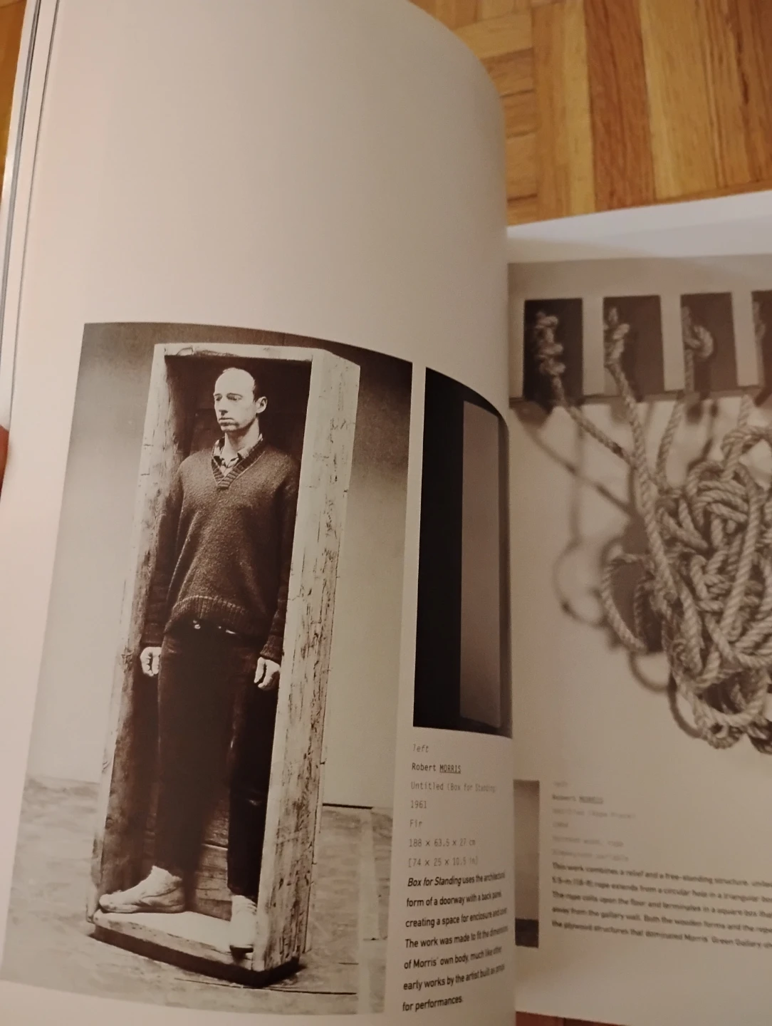 Minimalism Art Book by Phaidon - photo 5