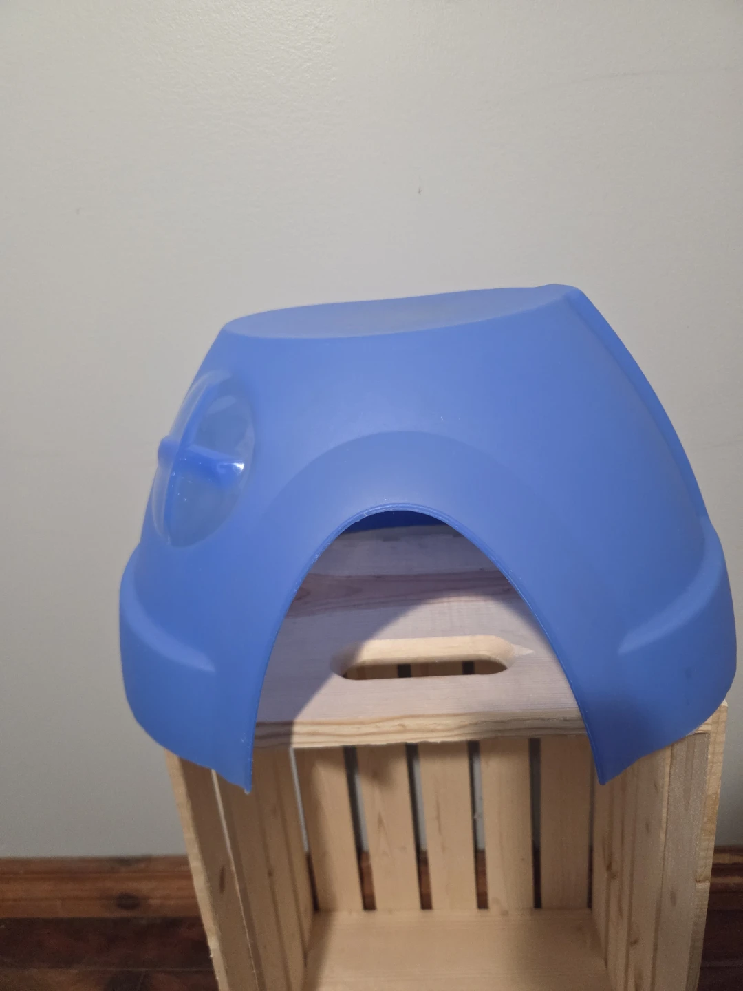 Blue Plastic Dome Hideaway