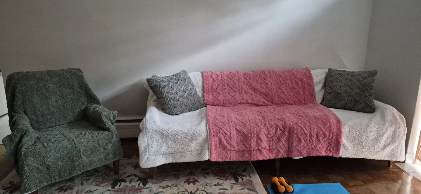Green Armchair and Couch - photo 2