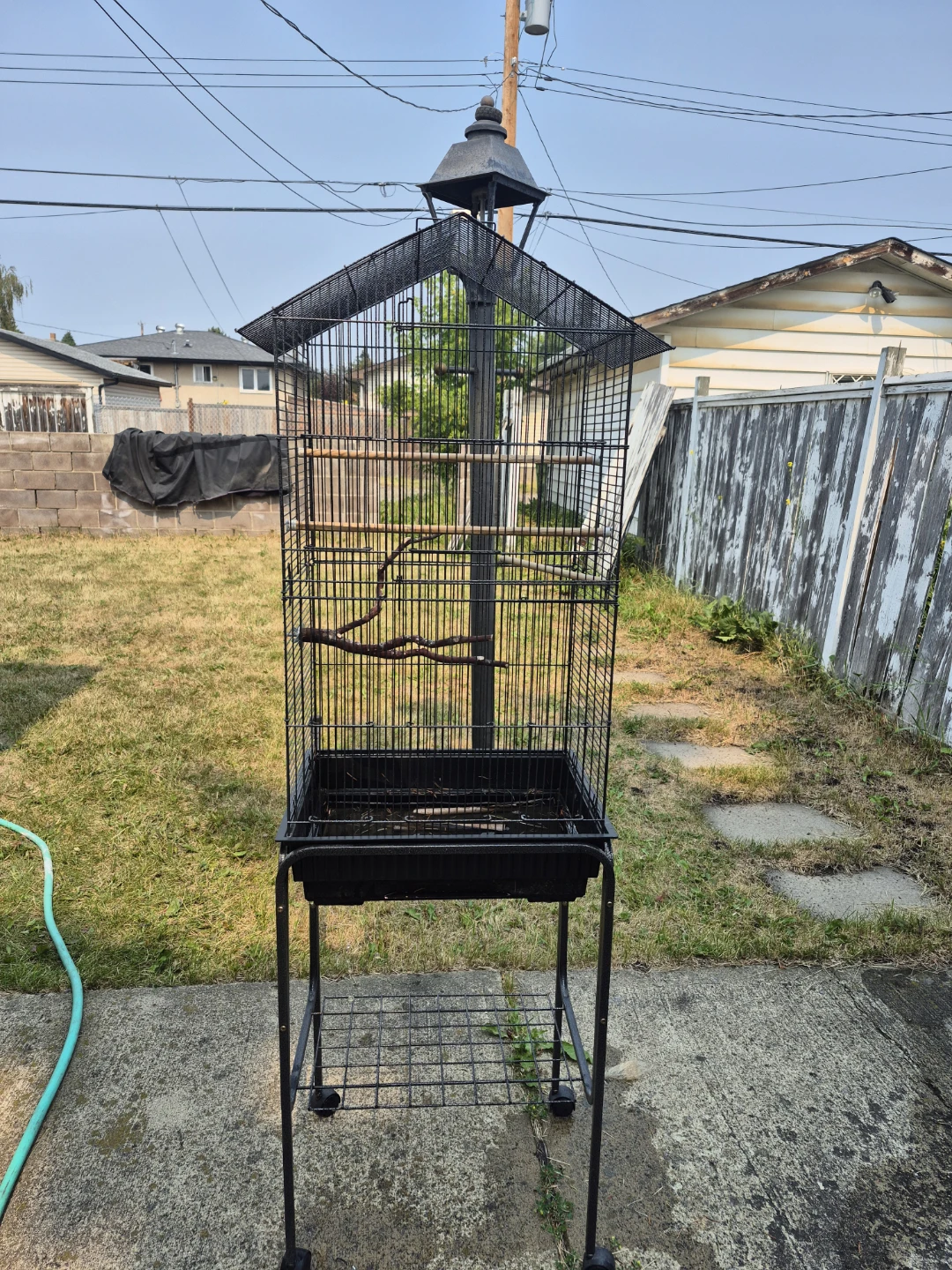 Black Bird Cage with Stand