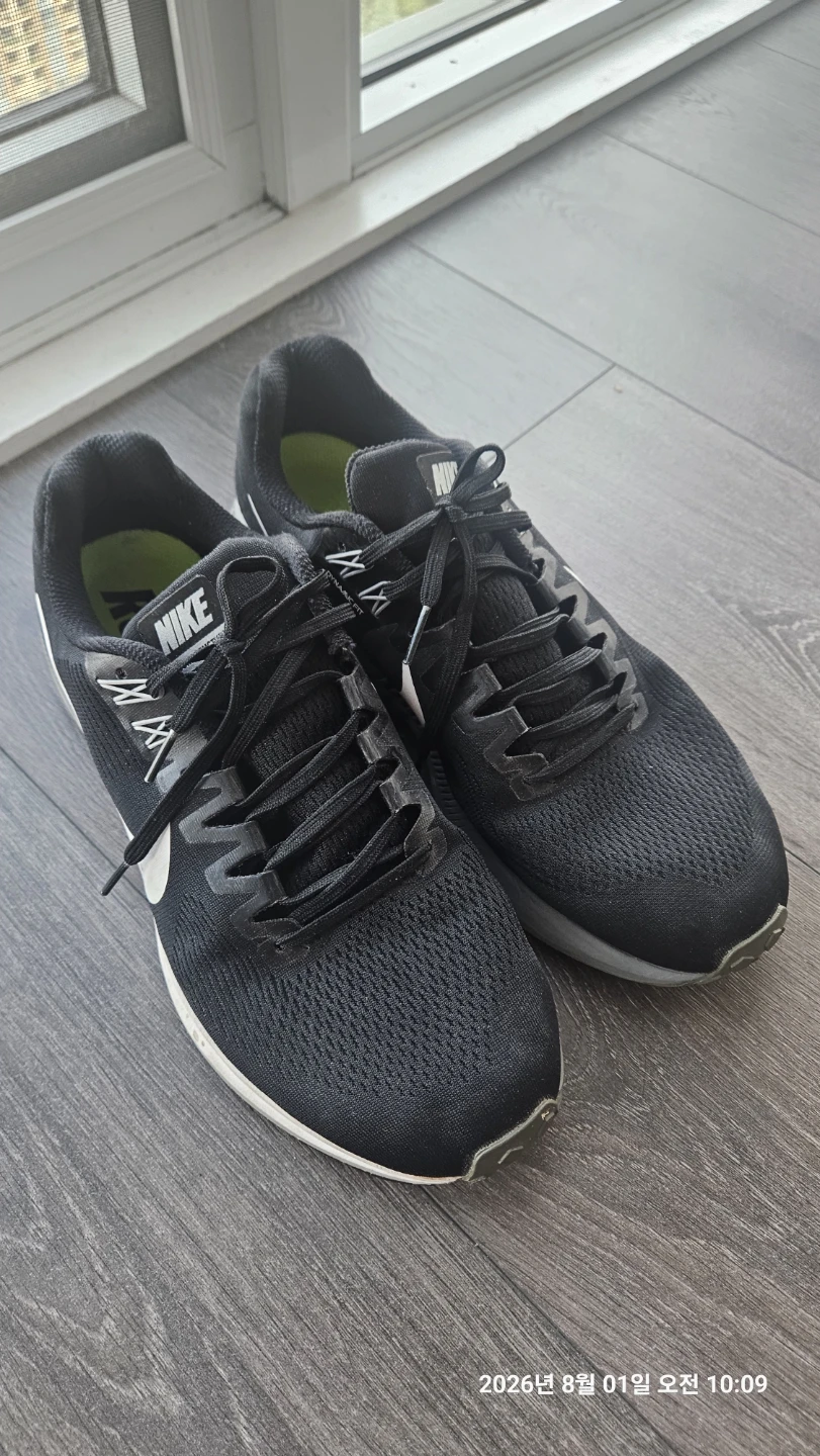 Nike Running Shoes (zoom 10.5)