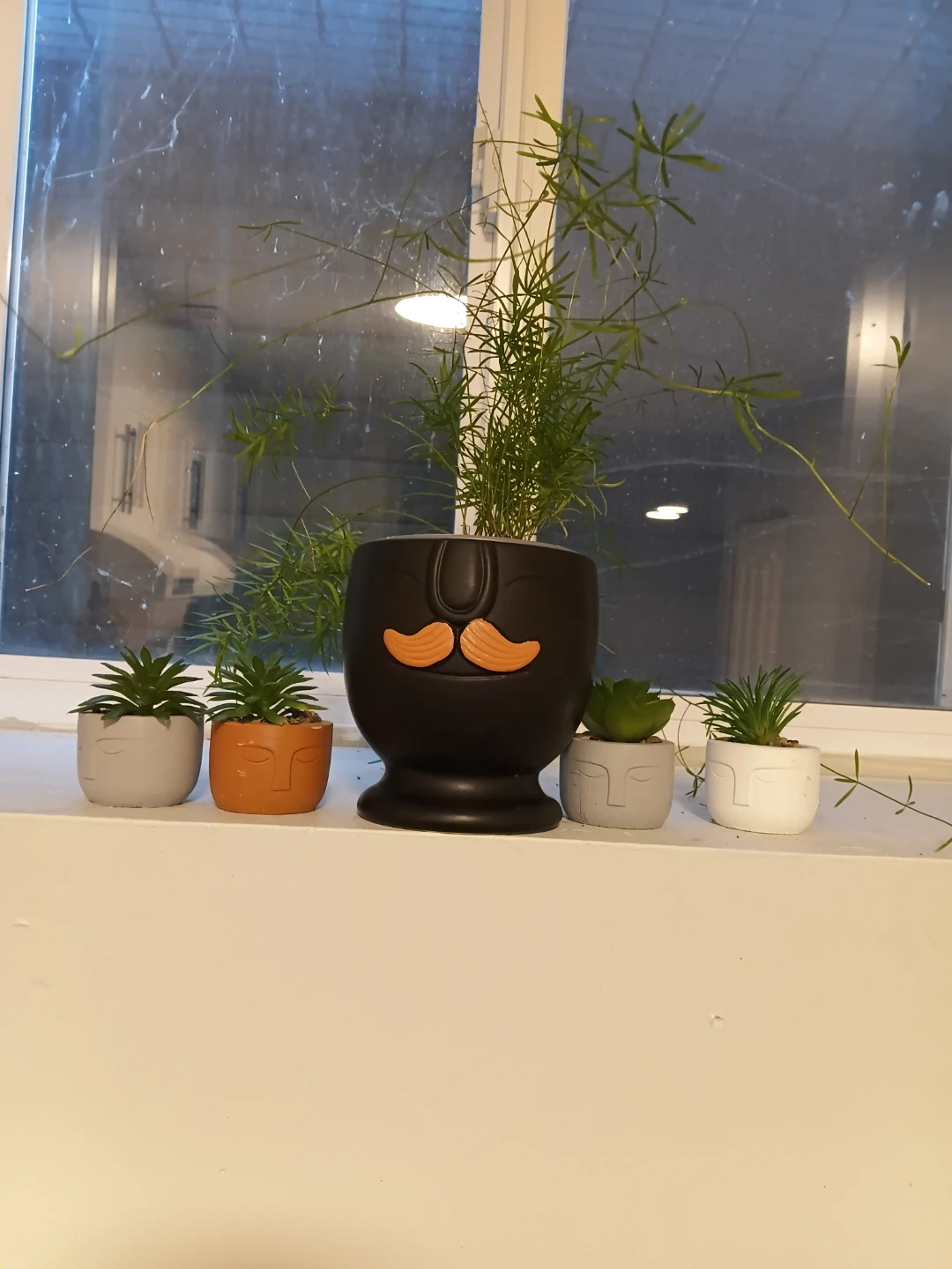 Plant - photo 2
