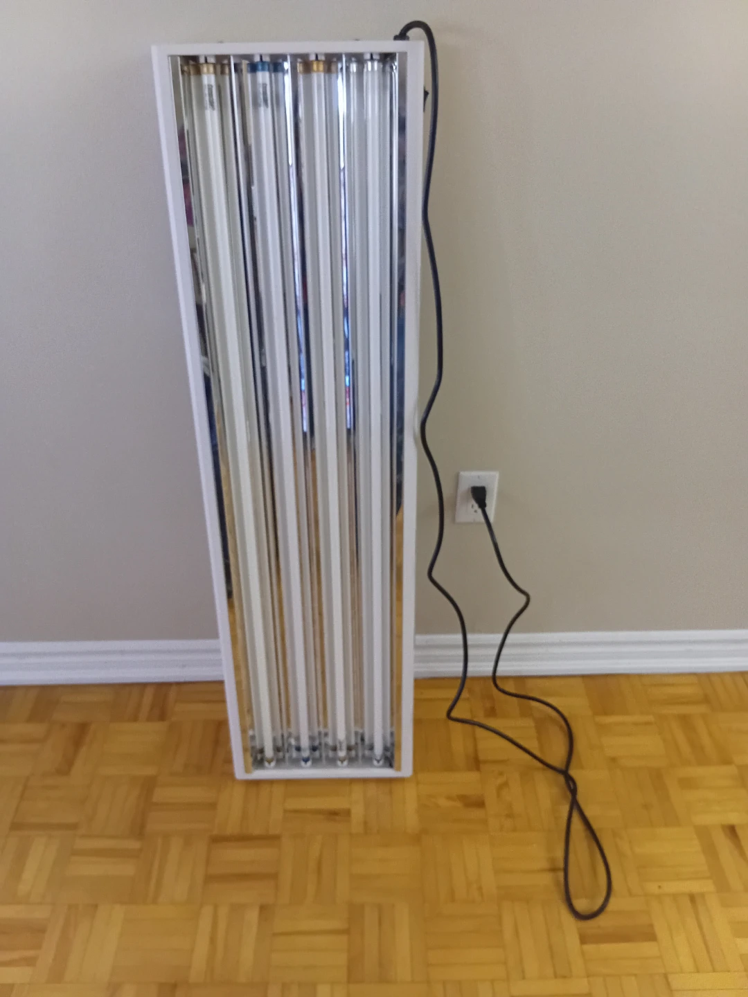 Fluorescent Light Fixture with Bulbs