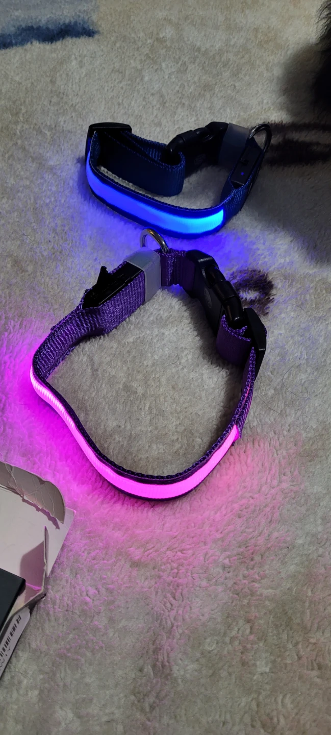 Masbrill LED Dog Collar small - photo 2