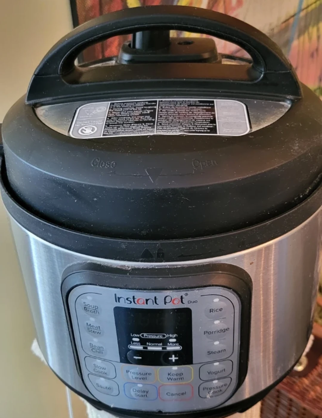 Instant Pot Duo