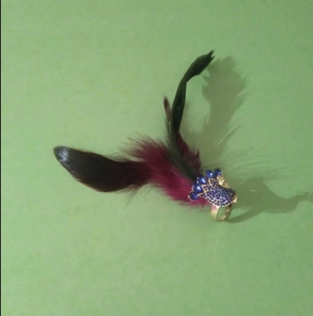 Beautiful Peacock Ring