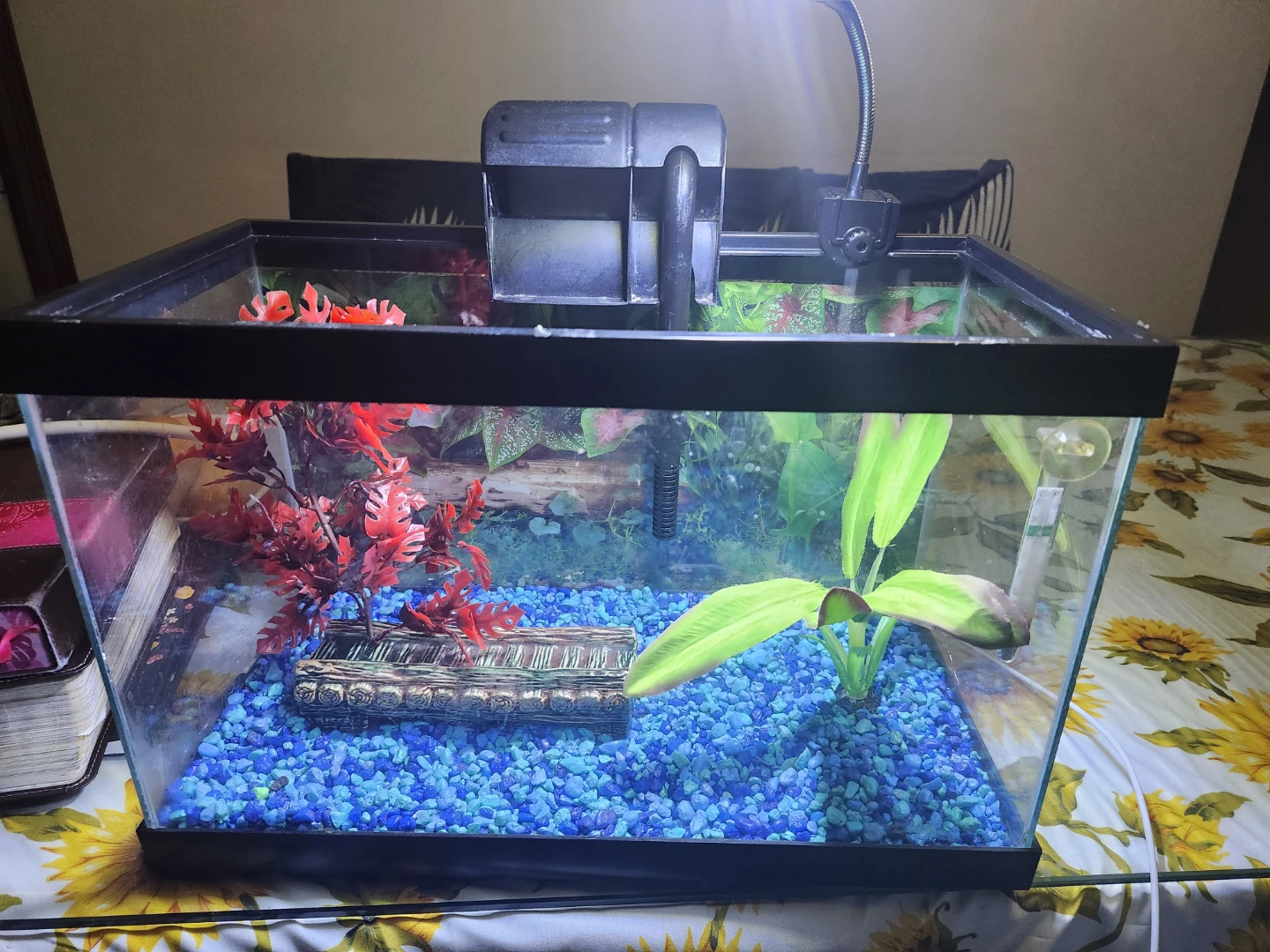 Full Set Up 5 gal Aquarium with 5 Guppies (light, filter, etc) - photo 5