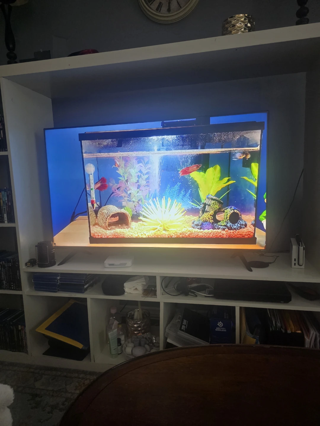 Fish tank 17 to 9 inches - photo 2
