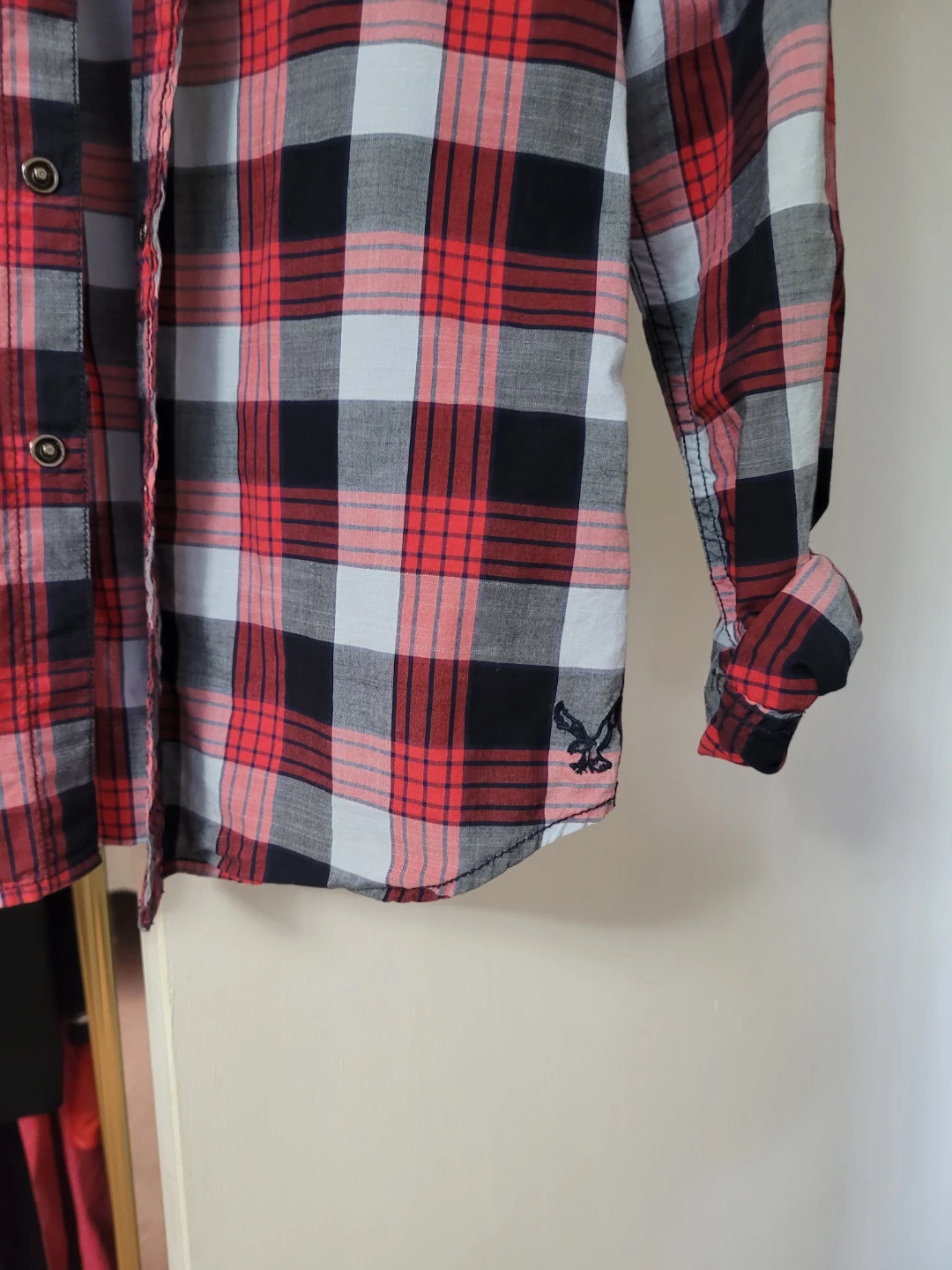 American Eagle - photo 4