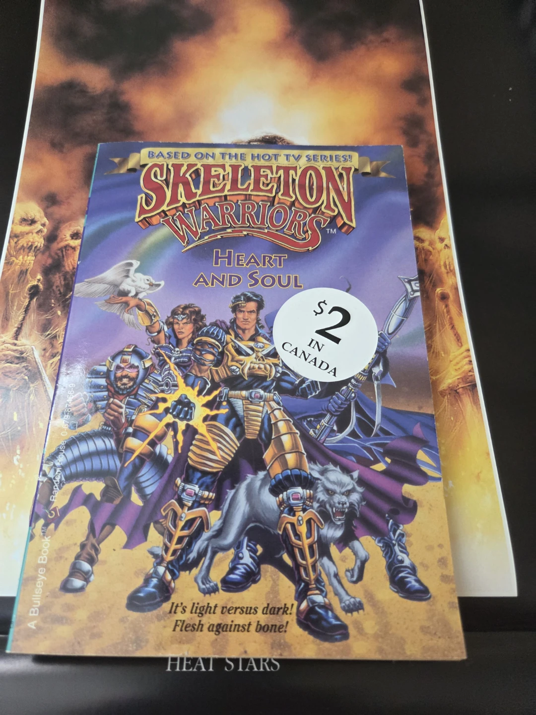 Skeleton Warriors: Heart and Soul Book