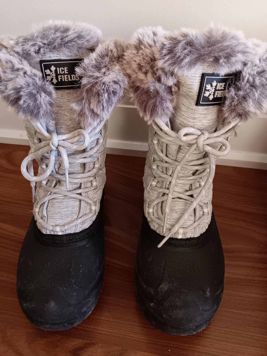 Ice Fields Winter Boots for women