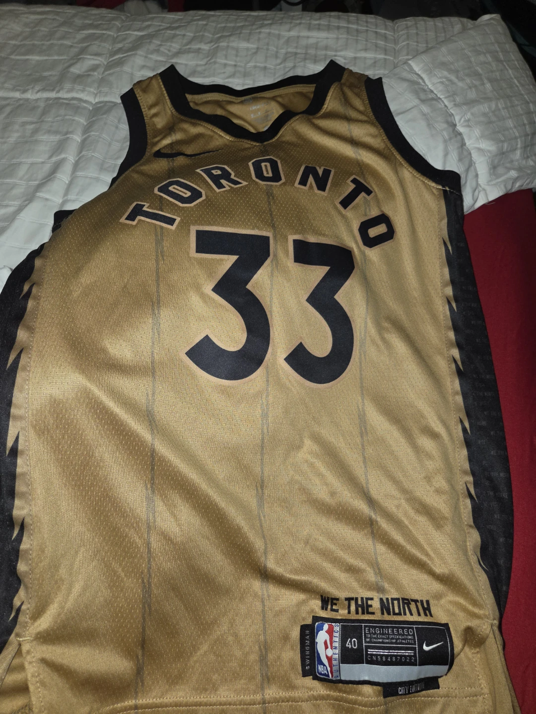 Nike Toronto Raptors Trent Jr. #33 Jersey Size 40