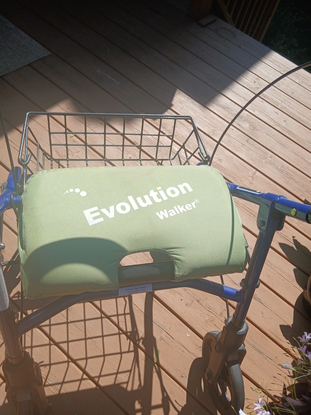 Evolution Walker - photo 2