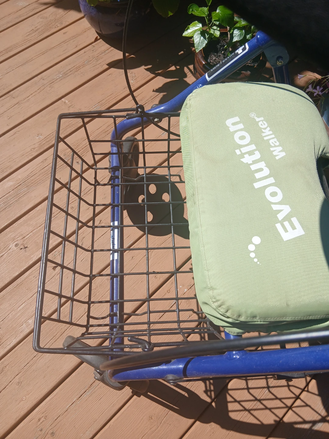 Evolution Walker - photo 3